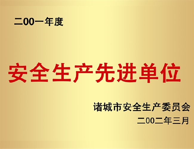 2001安全生产先进单位