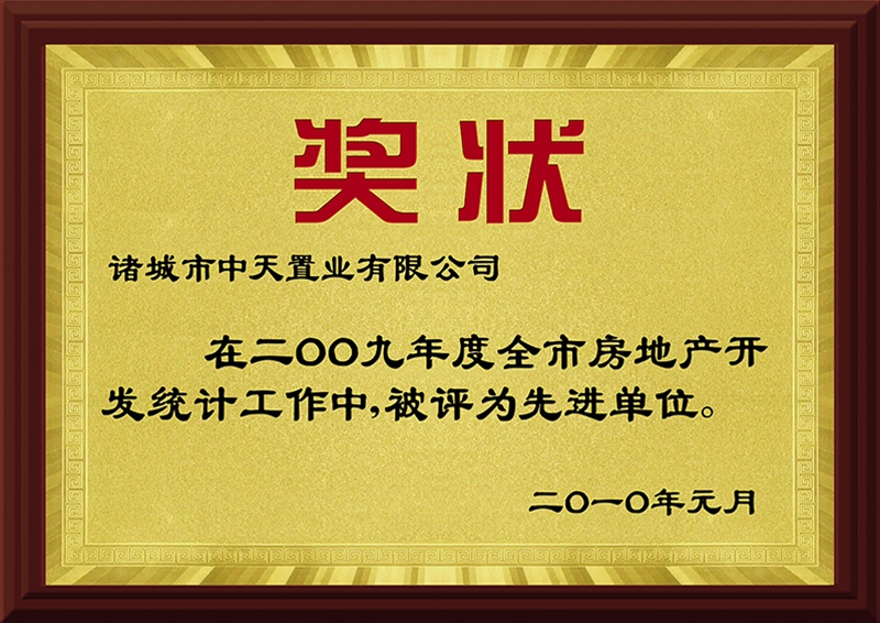 2009先进单位