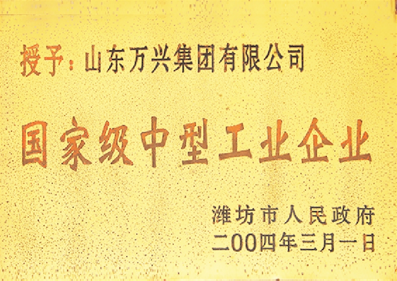 国家中型工业企业