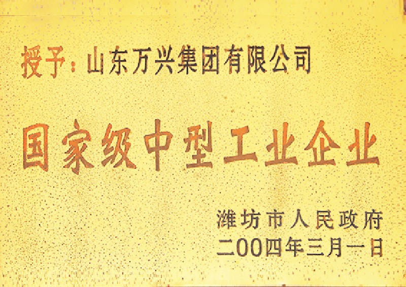国家中型工业企业