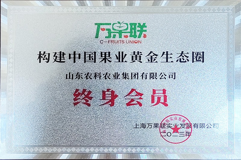 终身会员