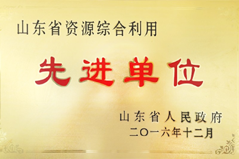 山东省资源综合利用先进单位