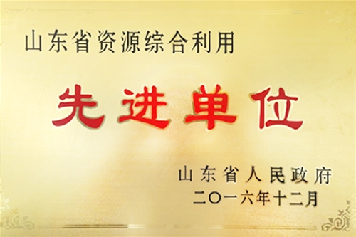 山东省资源综合利用先进单位