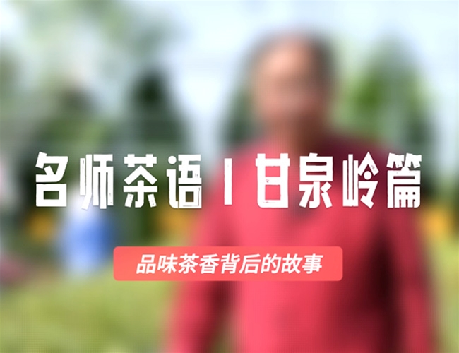 名师茶语-甘泉岭篇