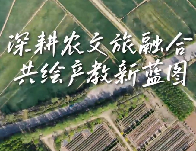 深耕农文旅融合共绘产教新蓝图