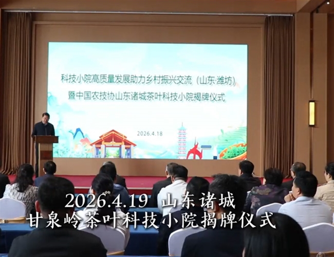 甘泉岭茶叶科技小院揭牌仪式