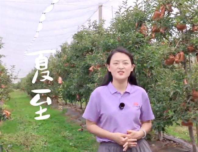 夏至