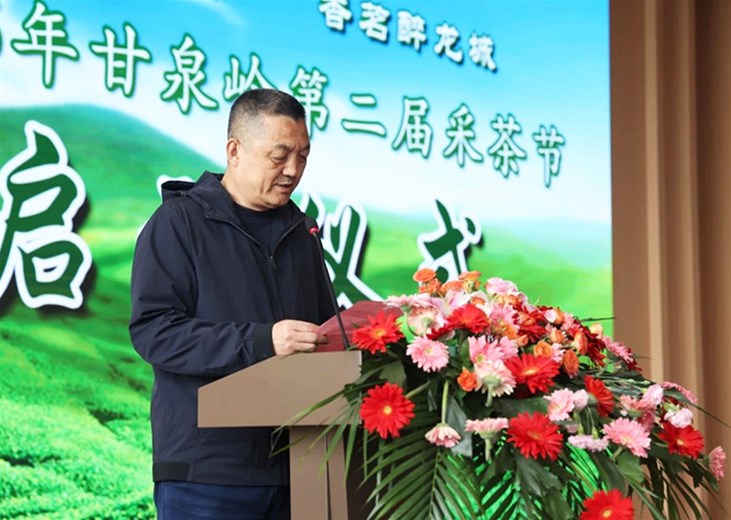 甘泉煮春茶 香茗醉龙城——2025年甘泉岭第二届采茶节圆满举行