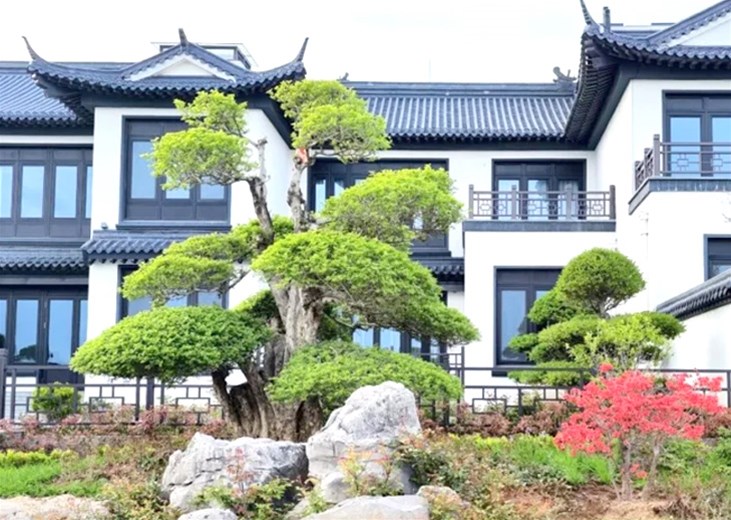 重磅！甘泉岭接入齐鲁天路，成就诸城茶旅慢生活生态圈