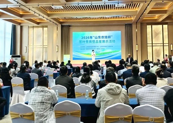 2026“山东农技杯”茶叶竞赛暨品鉴展示活动圆满落幕，“北国骄子”绿茶再次斩获金奖！