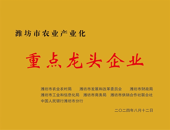 重点龙头企业