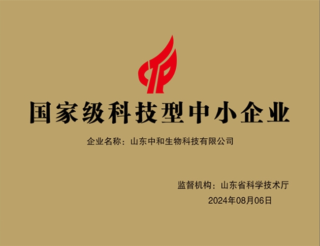 国家级科技型中小企业
